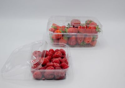 Proyecto Bandeja Termoconformada para Alimentos