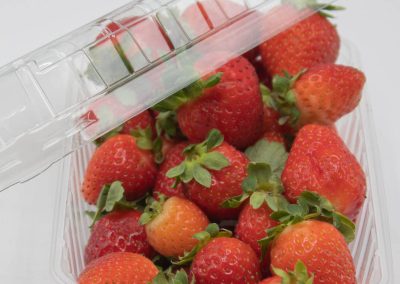 Proyecto Bandeja Termoconformada para Alimentos