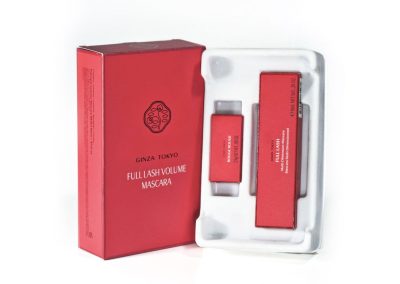 Proyecto Bandeja Termoconformada para Productos